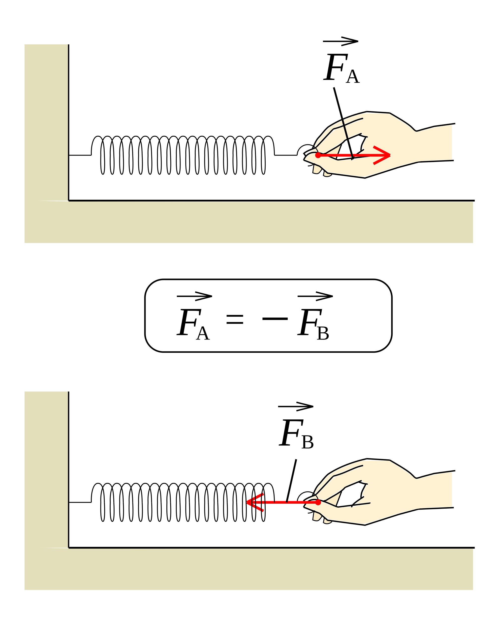 action reaction